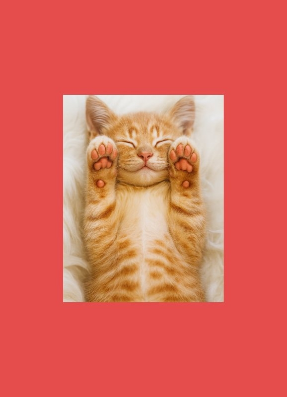 Взнос 100 000₽